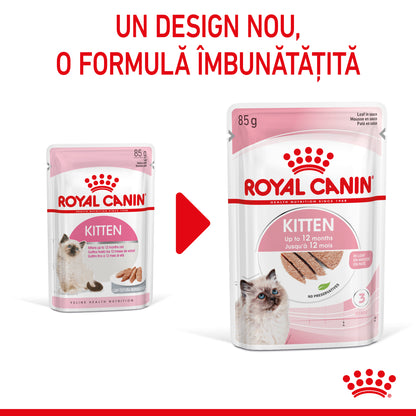 ROYAL CANIN FHN KITTEN Plic Pate pisicuţe