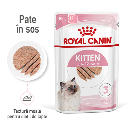 ROYAL CANIN FHN KITTEN Plic Pate pisicuţe