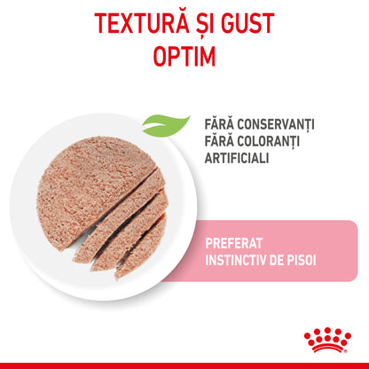 ROYAL CANIN FHN KITTEN Plic Pate pisicuţe