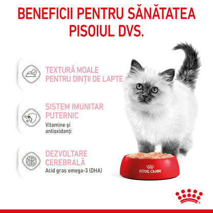 ROYAL CANIN FHN KITTEN Plic Pate pisicuţe