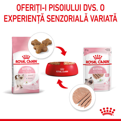 ROYAL CANIN FHN KITTEN Plic Pate pisicuţe