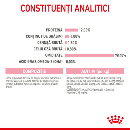 ROYAL CANIN FHN KITTEN Plic Pate pisicuţe