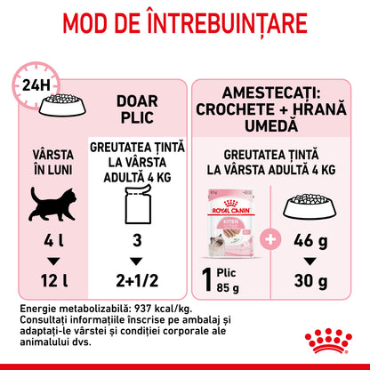 ROYAL CANIN FHN KITTEN Plic Pate pisicuţe