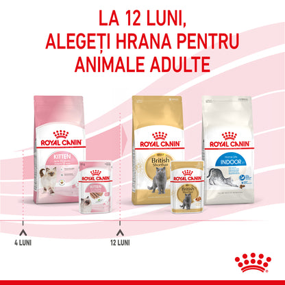 ROYAL CANIN FHN KITTEN Plic Pate pisicuţe