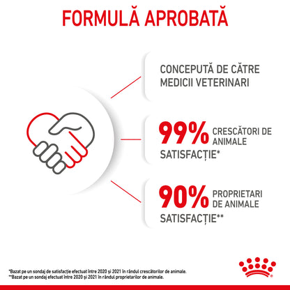 ROYAL CANIN FHN KITTEN Plic Pate pisicuţe