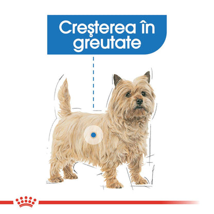 ROYAL CANIN CCN Light Weight Loaf Plic hrană umedă pentru câini 85g