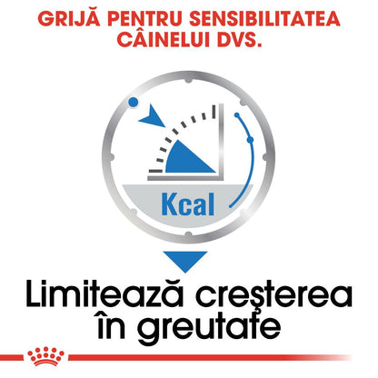 ROYAL CANIN CCN Light Weight Loaf Plic hrană umedă pentru câini 85g