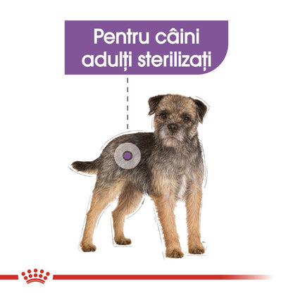 ROYAL CANIN CCN Sterilised Loaf Plic hrană umedă pentru câini 85g