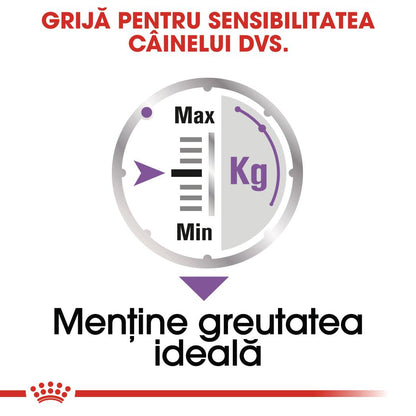 ROYAL CANIN CCN Sterilised Loaf Plic hrană umedă pentru câini 85g