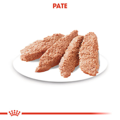 ROYAL CANIN CCN Digestive Care Loaf Plic hrană umedă pentru câini