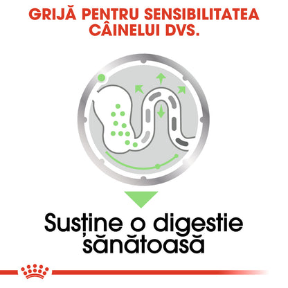 ROYAL CANIN CCN Digestive Care Loaf Plic hrană umedă pentru câini