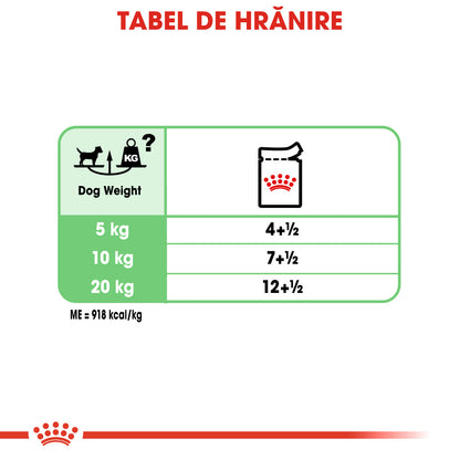 ROYAL CANIN CCN Digestive Care Loaf Plic hrană umedă pentru câini