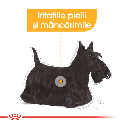 ROYAL CANIN CCN Dermacomfort Care Loaf Plic hrană umedă pentru câini 85g