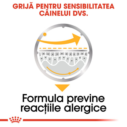ROYAL CANIN CCN Dermacomfort Care Loaf Plic hrană umedă pentru câini 85g