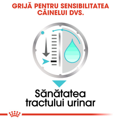 ROYAL CANIN CCN Urinary Loaf Plic hrană umedă pentru câini 85g