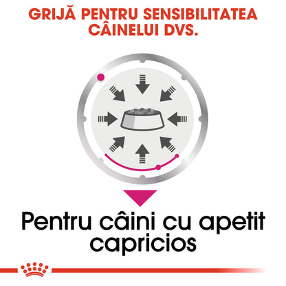 ROYAL CANIN CCN Exigent Loaf Plic hrană umedă pentru câini