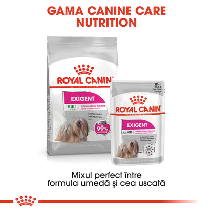 ROYAL CANIN CCN Exigent Loaf Plic hrană umedă pentru câini