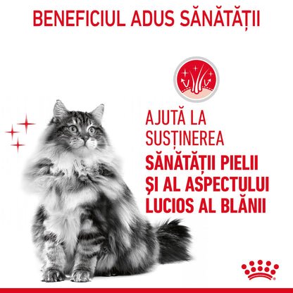 ROYAL CANIN FCN Hair&Skin Care în Sos Plic pentru pisici 85g