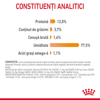 ROYAL CANIN FCN Hair&Skin Care în Sos Plic pentru pisici 85g