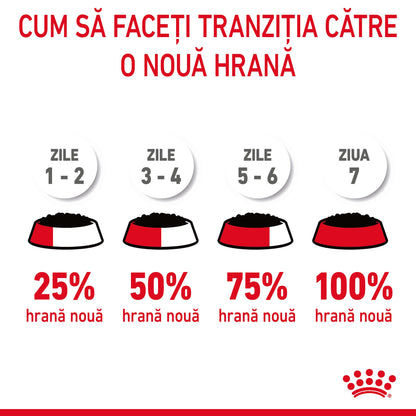 ROYAL CANIN FCN Hair&Skin Care în Sos Plic pentru pisici 85g