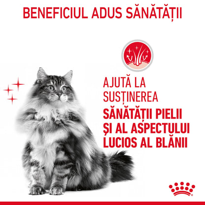 ROYAL CANIN FCN Hair&Skin Care în Aspic Plic pentru pisici 85g