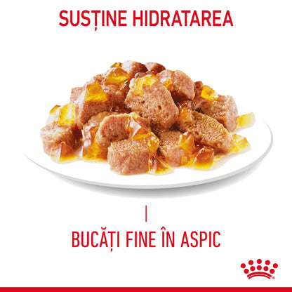 ROYAL CANIN FHN Urinary Care Plic pentru pisici adulte