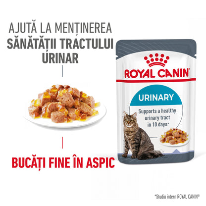 ROYAL CANIN FHN Urinary Care Plic pentru pisici adulte