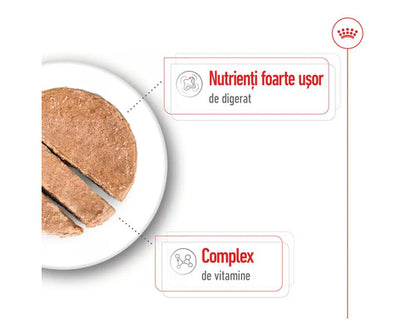 ROYAL CANIN SHN Mini Adult Conservă pentru câini, 195g