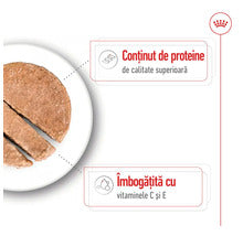 ROYAL CANIN SHN Medium Adult Conservă pentru câini, 410g
