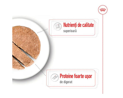 ROYAL CANIN SHN Maxi Adult Conservă pentru câini, 410g