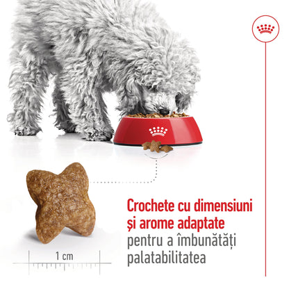 ROYAL CANIN SHN Mini Adult