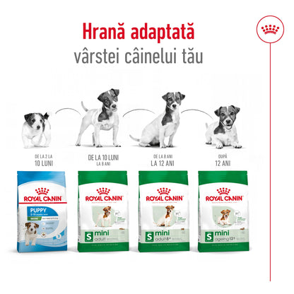 ROYAL CANIN SHN Mini Adult