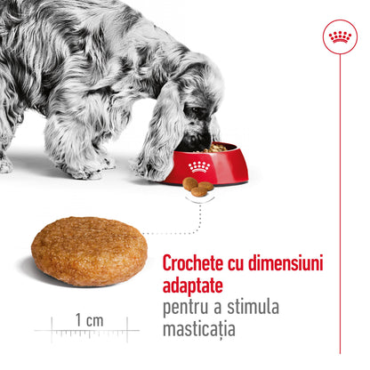 ROYAL CANIN SHN Medium Adult