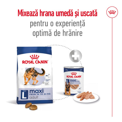 ROYAL CANIN SHN Maxi Adult