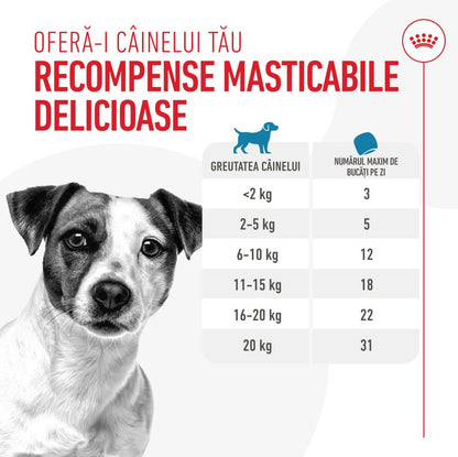ROYAL CANIN Recompensă pentru antrenament 110g
