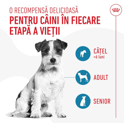 ROYAL CANIN Recompensă pentru antrenament 110g
