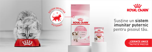 HTTPS MAXI PET RO COLLECTIONS ROYAL CANIN PUPPY SI KITTEN