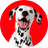 Maxi-pet store logo