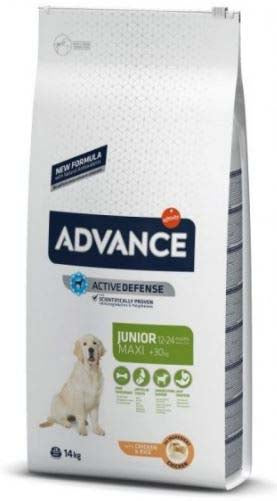 ADVANCE JUNIOR Maxi, Pui si orez, 14kg
