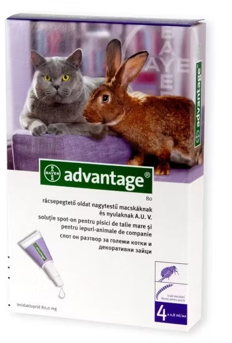 ADVANTAGE 80 impotriva puricilor pentru pisici si iepuri  4kg, 1 fiola