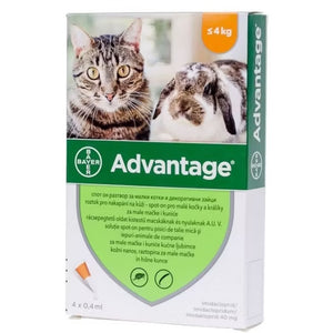 ADVANTAGE 80 impotriva puricilor pentru pisici si iepuri  4kg, 1 fiola