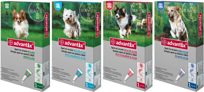 ADVANTIX (Bayer) Monopipeta impotriva puricilor si capuselor pentru caini
