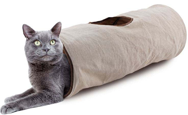 ALL FOR PAWS ClassicTunel pentru pisici Crinkle,din pluş 62x25,5cm - Maxi-Pet.ro