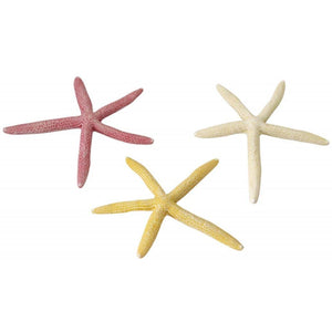 AQUA D'ELLA Decoratiune pentru acvarii Starfish 18,5cm, diverse culori