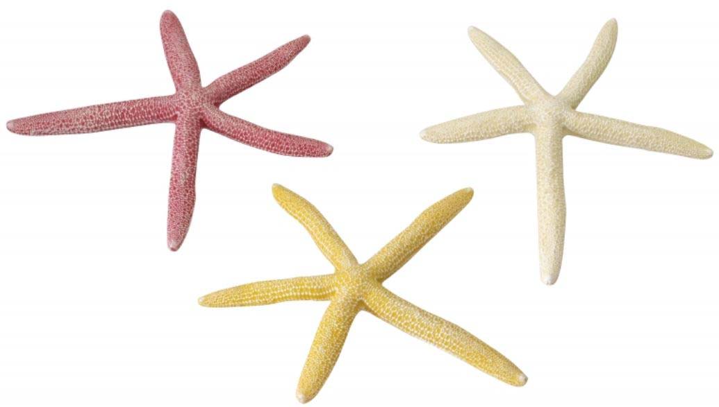 AQUA D'ELLA Decoratiune pentru acvarii Starfish 18,5cm, diverse culori