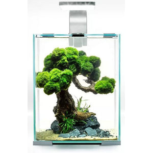 AQUAEL Acvariu echipat SHRIMP SET Day&Night, Alb, 10 L, 20x20x25