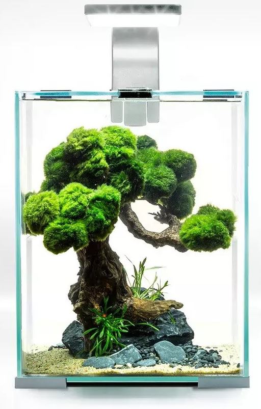 AQUAEL Acvariu echipat SHRIMP SET Day&Night, Alb, 10 L, 20x20x25