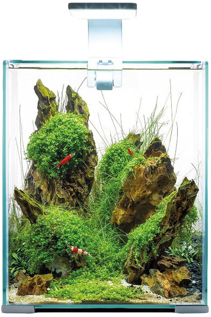 AQUAEL Acvariu echipat SHRIMP SET Day&Night, Alb