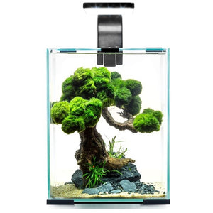 AQUAEL Acvariu echipat SHRIMP SET Day&Night, Negru
