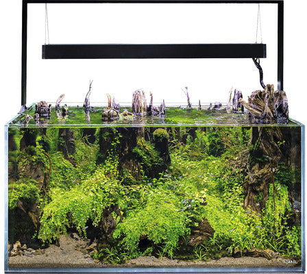 AQUAEL Acvariu Ultrascape 90, 90x60x45cm, Verde